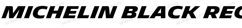 Michelin Black Regular字体转换